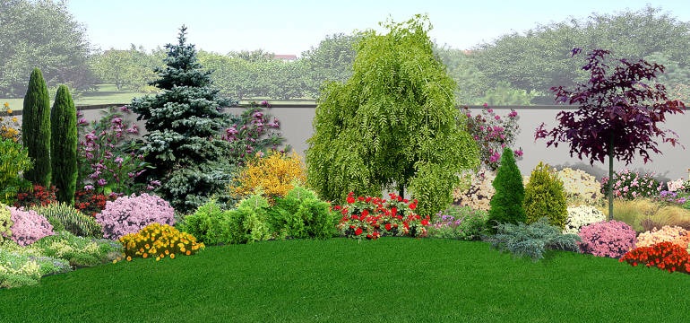 Los mejores arbustos para el jardín