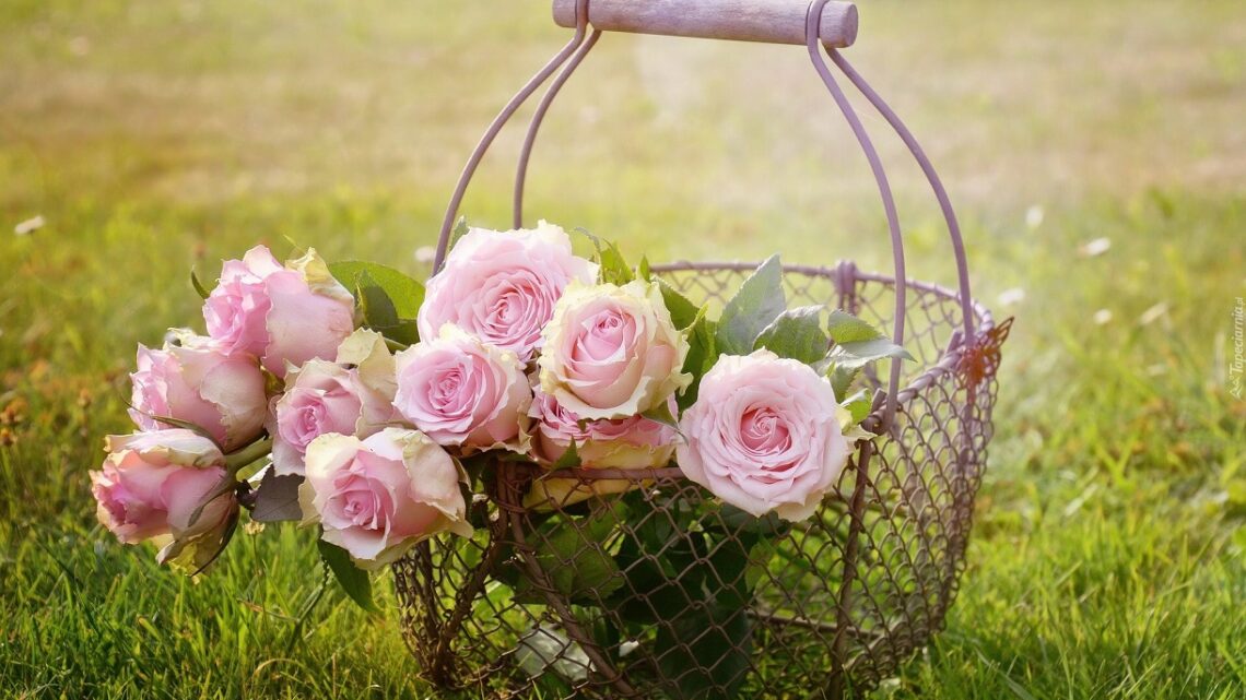 Rosas con flores hermosas y fragantes.