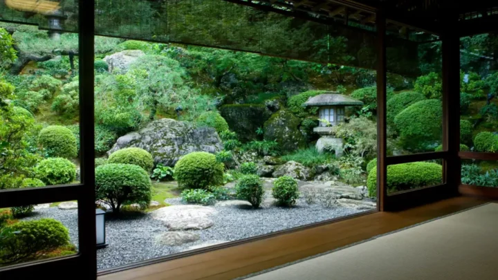 Zen Garden