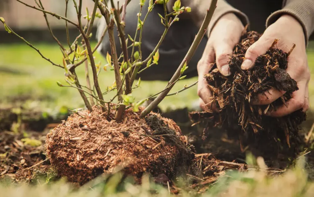 All About Mulching