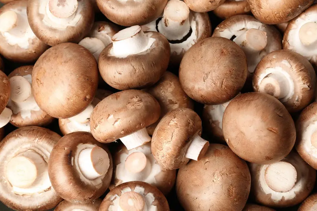 Benefits of Homegrown Mushrooms