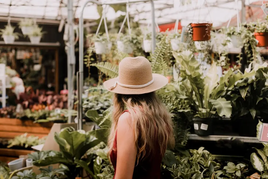 Buying Plants From a Nursery