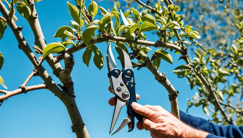 Fruit Tree Pruning