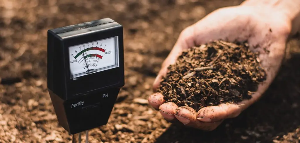 How to Test and Amend Your Soil