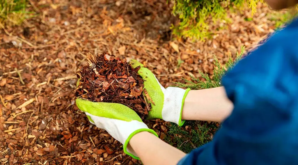 Organic Mulching Materials