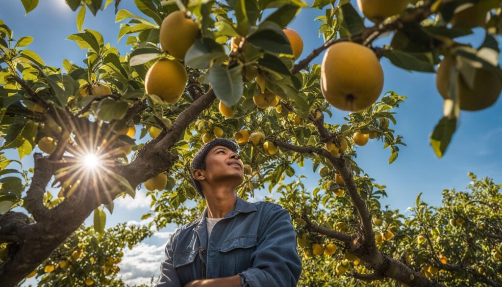 Pruning Fruit Trees