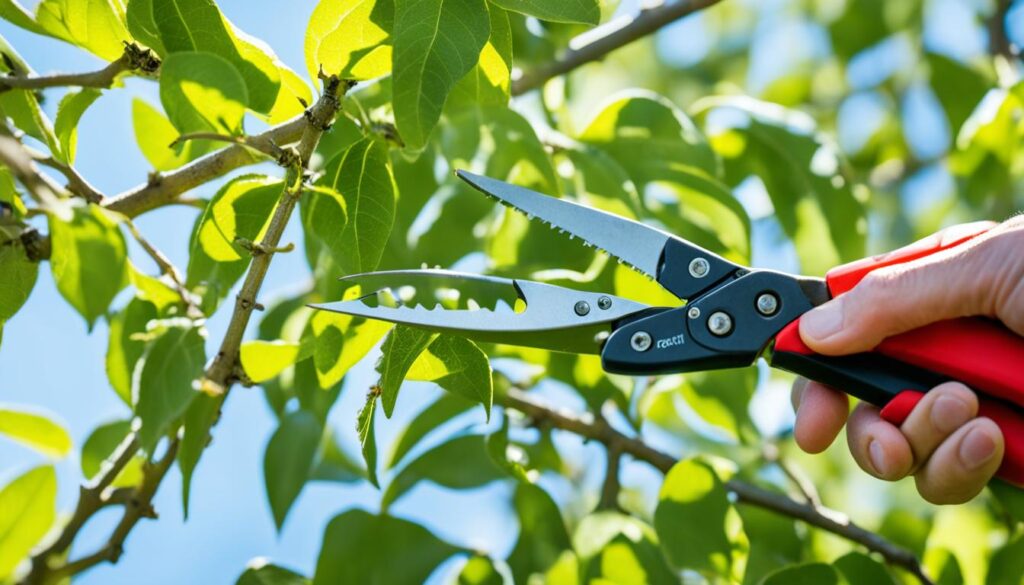 Pruning Techniques