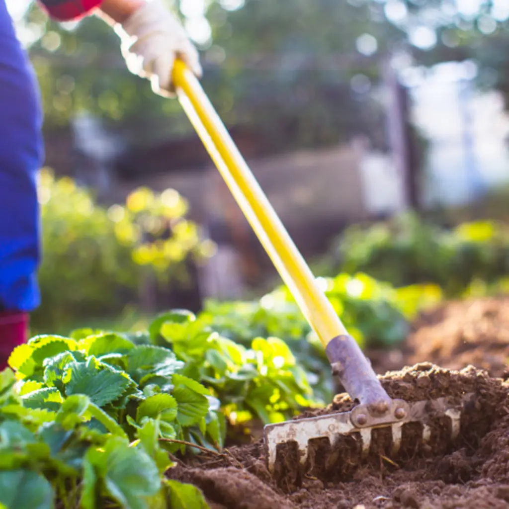 Crop Rotation and Polyculture