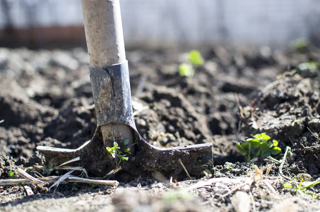 Sustainable Gardening 