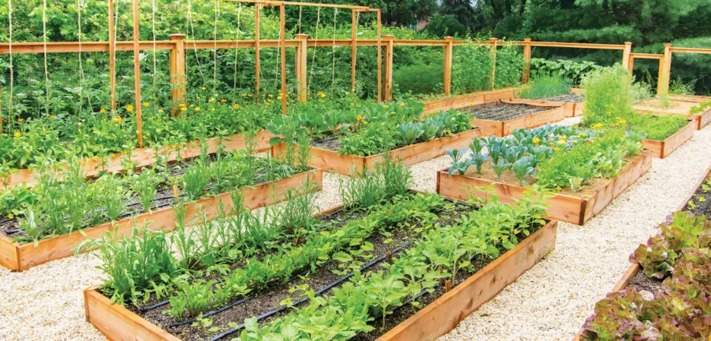 Sustainable Gardening