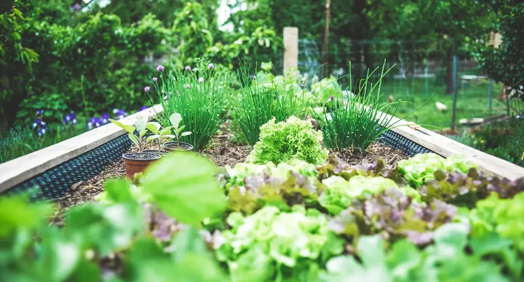 Sustainable Gardening Techniques and Benefits