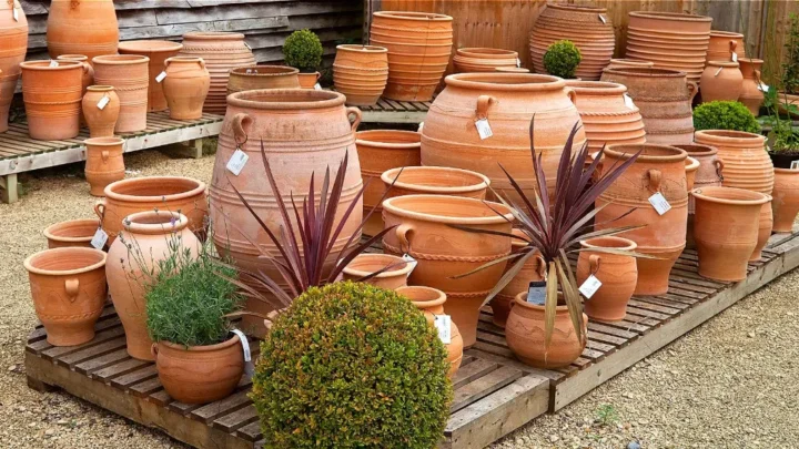 Terracotta Pots