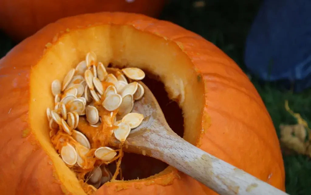 The Health Benefits of Pumpkin Seeds