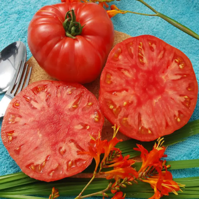 Tomato De Barao giant