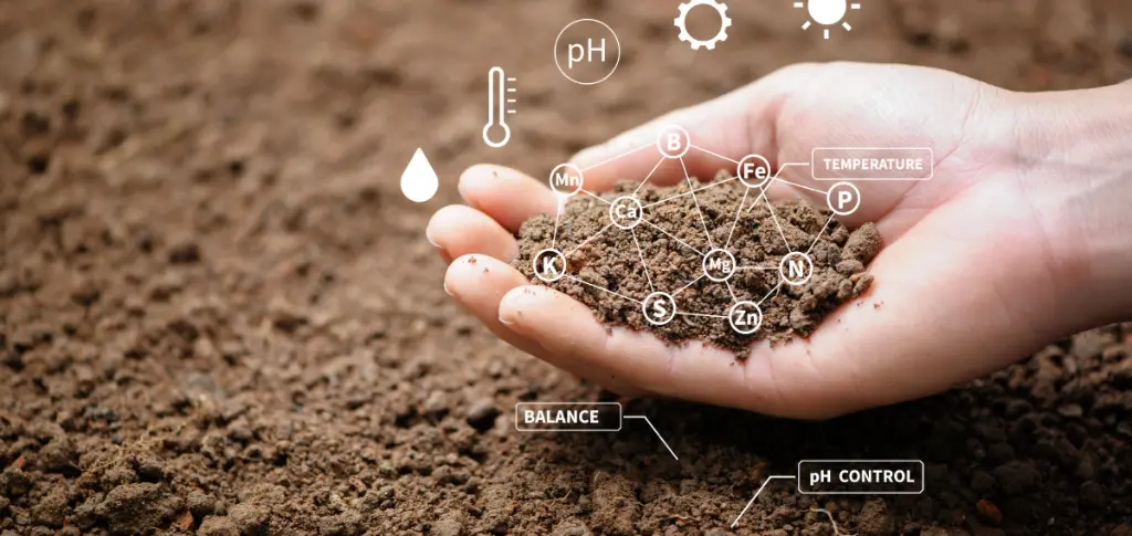 Understanding Soil Quality