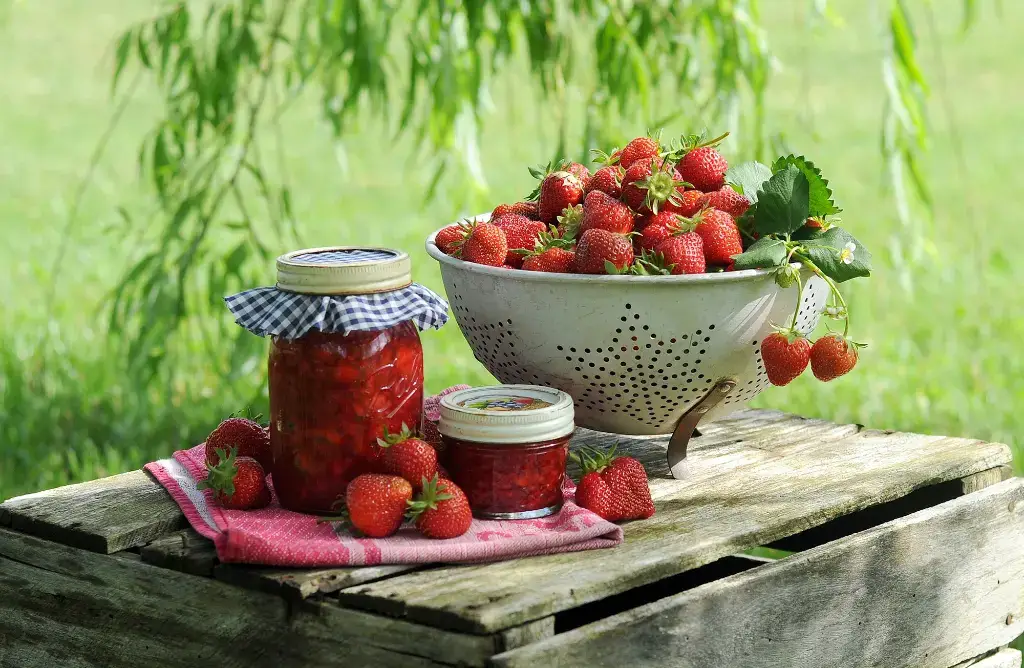 When to plant strawberries