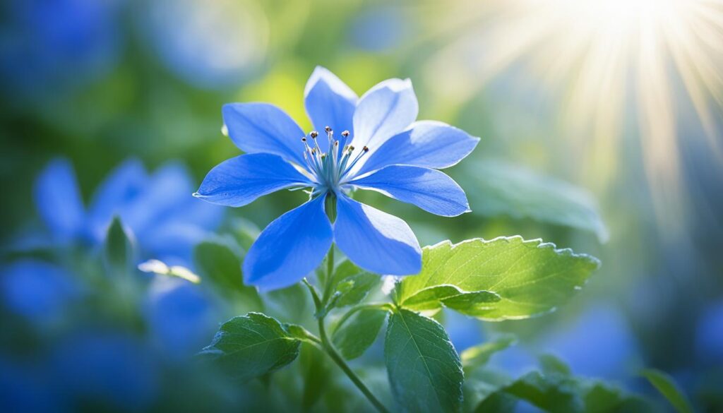 blue flower characteristics