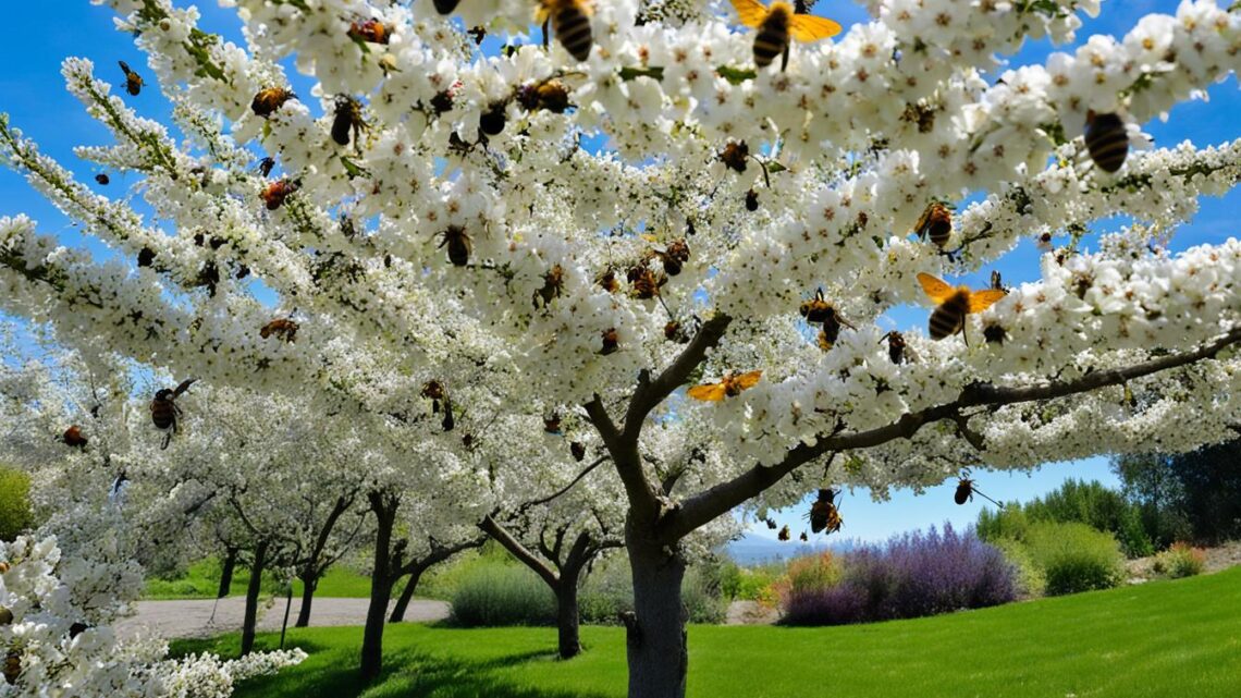 fruit tree pollination