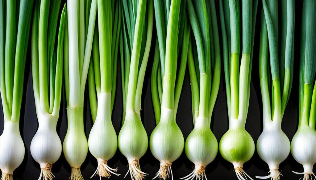 spring onion varieties